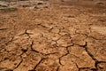 Parched land after a hot summer Royalty Free Stock Photo