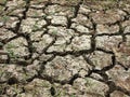 Parched land close-up