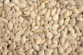 Parched pumpkin seeds