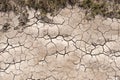 Parched Soil Royalty Free Stock Photo