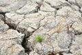 Parched Soil During Drought And Dry Season Royalty Free Stock Photo