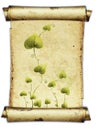 Antique Parchment Scroll With Green Heart Leaf Illustration Royalty Free Stock Photo