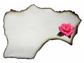 Parchment with pink rose.