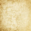 Parchment texture