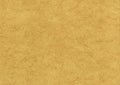 Parchment Texture Background very large format Royalty Free Stock Photo