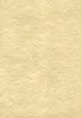 Parchment texture Royalty Free Stock Photo