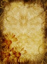 Parchment Textured Background Daisies Royalty Free Stock Photo