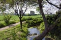 Parco degli acquedotti along the Appian way in Rome Royalty Free Stock Photo