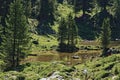 Parco naturale di Fanes close to Marebbe in Val PusteriaDolomiti, Italia