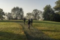 Parco Nord of Milan in a October morning. Three bikers