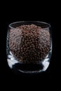 Pardina lentils in glass, black background