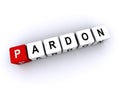 pardon word block on white