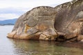 Pareidolia. Stone beluga figure sleeping on the beach.