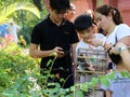 Parent-child family releasing birds from the cage for freedom. They believe it is a merit, according to the guidelines of the Royalty Free Stock Photo