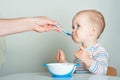 Parent feeds child from spoon close-up. Handsome toddler sitting with plate close-up. Baby complementary feeding, food allergy,