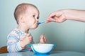 Parent feeds child from spoon close-up. Handsome toddler sitting with plate close-up. Baby complementary feeding, food allergy,