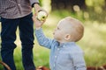 Parent giving for little boy apple, walking together in summer park. Royalty Free Stock Photo
