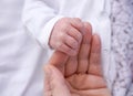 Parent hands holding newborn baby fingers. Mother& x27;s hand holding newborn baby. Love family healthcare Royalty Free Stock Photo