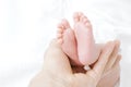 Parent holding in the hand feet of newborn baby on white background Royalty Free Stock Photo