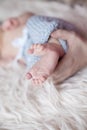 Parent holding in the hands feet of newborn baby on white background Royalty Free Stock Photo