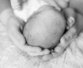 Parent`s hands tenderly holding baby`s head Royalty Free Stock Photo