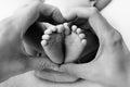 A parent& x27;s hands in the shape of a heart around a newborn baby& x27;s feet. Close up of baby feet in heart shaped in hands. Royalty Free Stock Photo