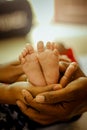 Parenthood Concept - Happy Mom and Dad are holding Baby feet on hands. Parents are holding the legs of a newborn baby Royalty Free Stock Photo