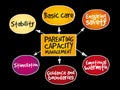 Parenting capacity management mind map