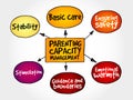 Parenting capacity management