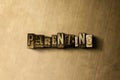 PARENTING - close-up of grungy vintage typeset word on metal backdrop Royalty Free Stock Photo