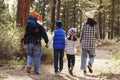 Parents and children walking in a forest, back view close up Royalty Free Stock Photo