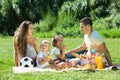 Parents with daughters having picnic Royalty Free Stock Photo