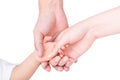 The parents hand holding the hands of children isolated on white.