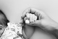 The hand of a mother and father close-up holds the fist of a newborn baby. Royalty Free Stock Photo