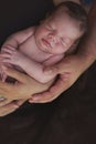 Parents hands hold small baby Royalty Free Stock Photo