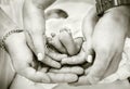 Parents holding baby feet in their hands Royalty Free Stock Photo