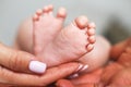 Parents holding newborn baby feet close up on white background Royalty Free Stock Photo