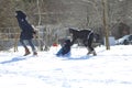 Parents and son playing in snow sledding