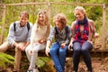 Parents and teens playing, sitting on a bridge in a forest Royalty Free Stock Photo