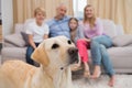 Parents and their children on sofa with labrador Royalty Free Stock Photo