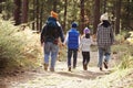 Parents and three children walking in a forest, back view Royalty Free Stock Photo