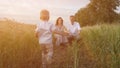 Parents walking with son on a wheat field, sunset Royalty Free Stock Photo