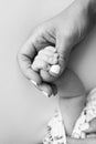 The hand of a mother and father close-up holds the fist of a newborn baby. Royalty Free Stock Photo