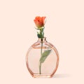 Contemporary art collage, modern design. Retro style. Parfume bottle with tender blooming rose in it on pastel Royalty Free Stock Photo