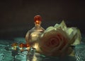 Parfume bottles with rose Royalty Free Stock Photo