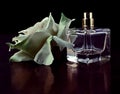 Parfume bottles with rose Royalty Free Stock Photo