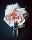 Parfume with white rose