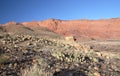 Paria Canyon-Vermilion Cliffs Wilderness, Utah,USA