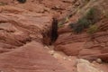 Paria Canyon Wilderness area