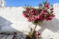 Parikia, Paros island Royalty Free Stock Photo